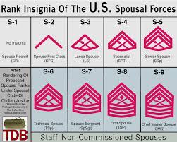 Pentagon Releases Preliminary Military Spouse Rank Chart