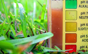 Perfecting The Ph Of Your Hydroponic Nutrient Solution