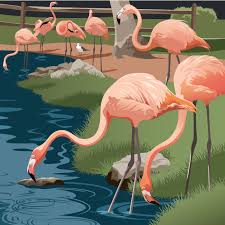 Only In Sarasota Flamingos At Jungle