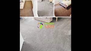 pet stain carpet cleaning point cook