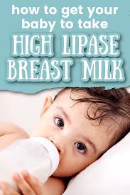 baby to drink high lipase t milk