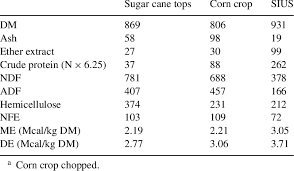 sugar cane tops