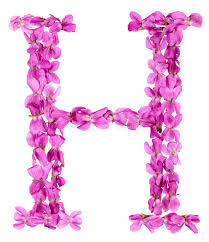 A to z alphabet letter my life line dp pic for fb n whatsapp beautiful love my life line alphabetic letters facebook dp pics fort girls and boys. Alphabet H Flowers Photos Free Royalty Free Stock Photos From Dreamstime