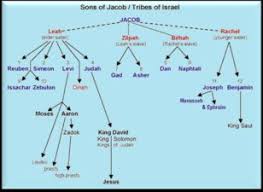 the sons of jacob guided