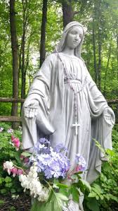 What Is A Virgin Mary Garden How To