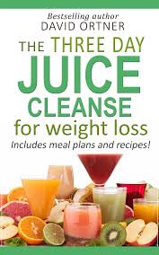 the 3 day juice cleanse made easy ebook