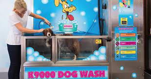 We found 135 results for do it yourself dog wash in or near n ft myers, fl. Diy Coin Operated Dog Wash Stations Make Their Debut In The U S