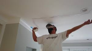 Prevent S In Drywall Or Plaster