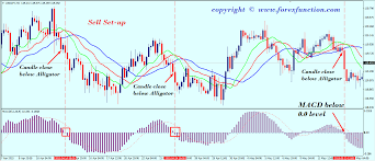 High Profitable Forex Day Trading Strategy Of Macd And