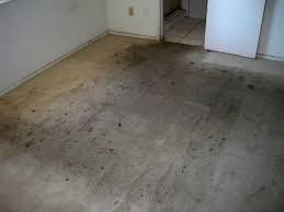 Basement Mold And Treatments