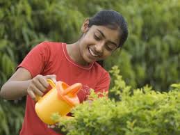 Gardening Tips For Indian Climate