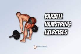 7 best barbell hamstring exercises