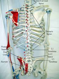 The bones that make up your spine (vertebrae) can weaken to the point of crumpling, which can result in back pain, lost height and a hunched forward posture. Uc San Diego S Practical Guide To Clinical Medicine