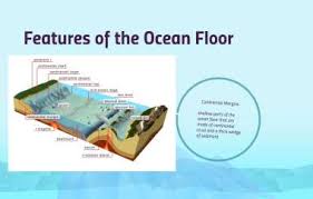 features of the ocean floor by emily wyatt