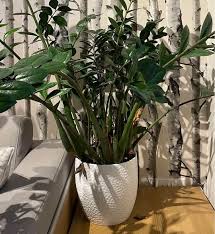 Uk S Best Indoor Plant Pots For The