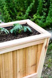 This wood planter box has a large 15 gallon nursery pot inside. Easy Diy Tapered Planter Build Plans Houseful Of Handmade