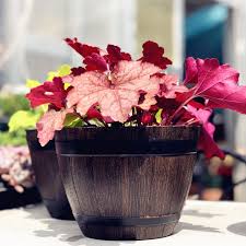 Universal Wine Bucket Flower Pot