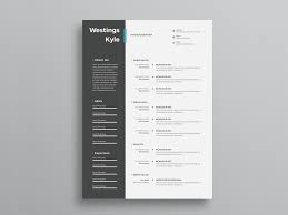 Free Ultra Minimal Two Column Photo Resume Cv Template With
