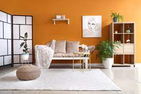 43 Colors That Go With Orange Color