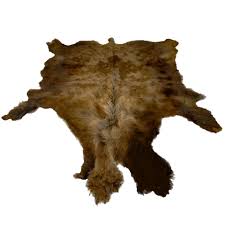 first quality buffalo hides