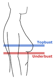How To Measure Your Bust