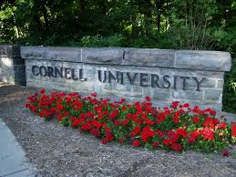 Image result for cornell university pics
