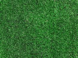 green carpet background images