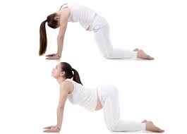 This is an excellent movement to do throughout pregnancy. Pin On Yoga For Pregnant Women