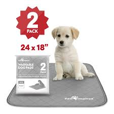 paws pals puppy pads potty