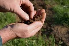 What soil is best for a garden?