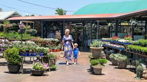 The group who gardened reported far better moods afterwards and their blood tests revealed lower levels of while searching garden centers near me, it's imperative to start planning out your garden and getting to. Ross Evans Garden Centres Plants And Pots For Gold Coast And Brisbane