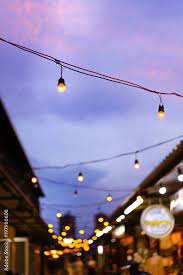 Decorative Outdoor String Lights