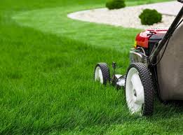 Mississauga Lawn Mowing Services Yardly