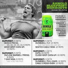 schwarzenegger blueprint to cuts phase