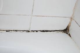 Remove Black Mold From Your Shower