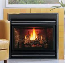 Back Flue Gas Fireplace Heater