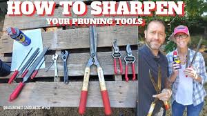 how to sharpen your pruning tools