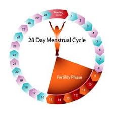 173 Best Natural Family Planning Images Family Planning