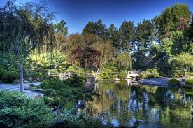 722923 Japanese Garden Gardens Pond