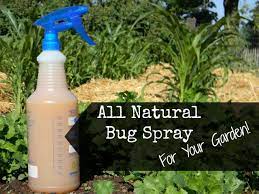 natural insect spray for your garden