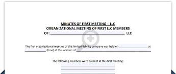 Llc Meeting Minutes Template