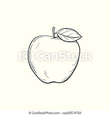 If you draw real fruit, you'll also get practice with creating a still life. Apple Fruit Hand Drawn Sketch Icon Apple Fruit Hand Drawn Outline Doodle Icon Fresh Healthy Fruit Apple Vector Sketch Canstock