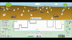 A siamese cat with unusual. Natural Selection Phet Simulation Youtube