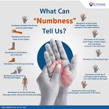 what can numbness tell us