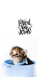 Loved By Kitten Cat Wallpaper