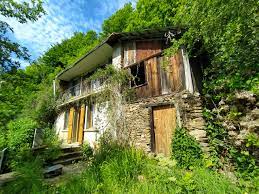 maison en forêt geraud immo