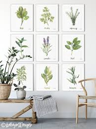 Herbs And Spices Kitchen Wall Art