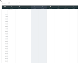 free daily schedule template excel