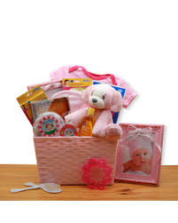 Luxury dog and human gift baskets; New Baby Direct Ship Gift Baskets Delivery Bound Brook Nj America S Florist Gifts
