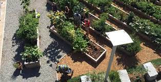 Community Garden Program